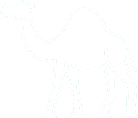 Camel Research Icon