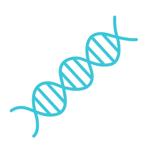 DNA Icon